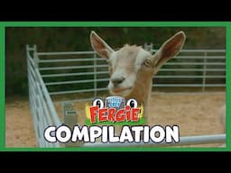 Animals!  | Fergie Saves Peggie Piglet 🐖 | Little Grey Fergie