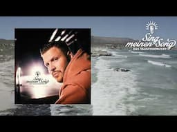 FiNCH - FiNCH ist schuld Gebt uns ruhig die Schuld (Sing Meinen Song Vol. 12)