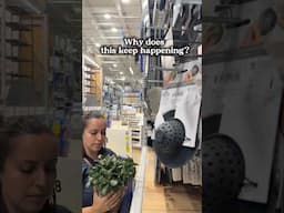 Cashier: “Did you find everything you were looking for?”Me: 👩🏽‍🌾🪴🌿#plantperson #planthumor