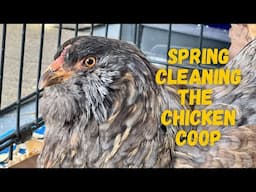Spring Cleaning the Chicken Coop | Life Off Grid in Maine