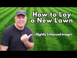 Your Complete Guide to a Flawless New Lawn