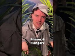 Flanger v Phaser