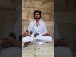 😮Mysterious temple and 🙏Swamy TTF Nandha♥️
