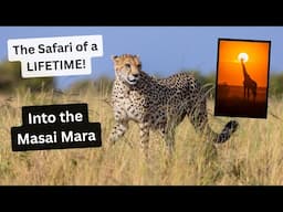 The Safari of a LIFETIME in the Great Masai Mara, Part 2. Wildlife photography at its best!