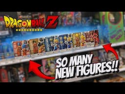 NEW Dragon Ball SH Figuarts Found In STORES!!