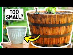 The PERFECT Container Size For Every Pepper Plant