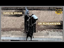 TARDE DE EULOGIO EN ALDEANUEVA DE EBRO (15-5-25)