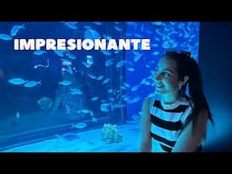 Un día conmigo 🥰me voy a visitar el acuario por primera vez
