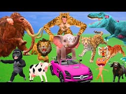5 Giant Mammoth Elephant Cow vs 12 Giant Lion vs Leopard Cheetah Fight For Cow Buffalo Baby Elephant