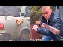 A Normal Day In Russia 🇷🇺 *Compilation* Pt. 4 [Best Russia Videos]