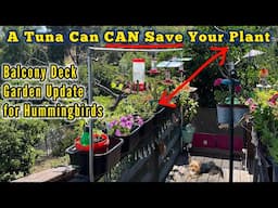 SUPER Balcony Flower Planter HACK by Hummingbird Feeders, Small Space Deck Growing Vegetable Garden