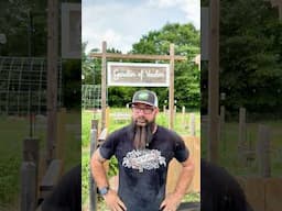Get Rid of Your Lawn