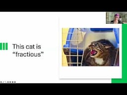 Cracking the Cat Code: Recognizing Feline Signals for Better Care - MMBC042425