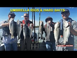 Trolling For California Delta Spring Striped Bass
