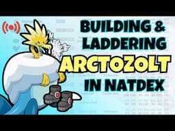 Is Arctozolt Hyper Offense a Good Idea? Let's See!