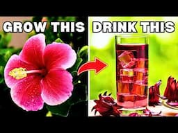 10 Delicious Edible Flowers You Can Grow! | How to Grow Edible Flowers