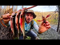 Trout Fishing & Foraging for Food ALONE in the Mountains!!! (Catch & Cook)