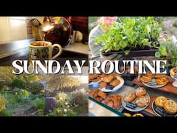 Slow & Simple Living on a Sunday ☕🌳 Gardening, Beach Walk, Farm Shop Haul & a Monthly Reset Chat
