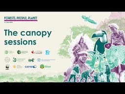 The Canopy Sessions