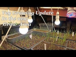 Veg Growing Progress / New Growing Area
