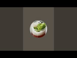The Home Brew Network is live