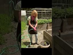 Organic Fertilizer Tips