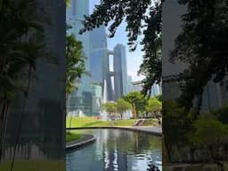 Backyard View of Kuala Lumpur Twin Towers