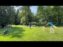 Week 169 UKI at Home 60x40 Agility 2, 16", Eli D31728, Margaret Hughes H14090