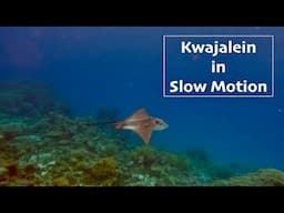Kwajalein in Slow Motion 2