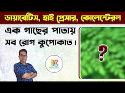 একই পাতায় কন্ট্রোল হবে ডায়াবেটিস হাইপ্রেসার ও কোলেস্টেরল।Amazing health benefits of moringa leaves