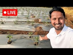 Indian Farmer Sunday LIVE | खेती से जुड़े सभी सवालों के जवाब