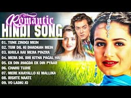 सदाबहार हिंदी Jukebox Songs ❤️ सदाबहार लव सोंग Bollywood Superhit Gaane🌹 90s, Hindi Song Superhit