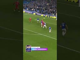 Unforgettable highlights from an extraordinary season.