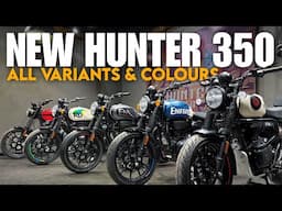 New Hunter 350 All Colours & Variants - Quick Walkaround