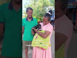 Journey of finding home for all Stray's #puppyadoption