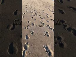 Any beach, anywhere! #shorts #shortsvideo #California #socal #rvlife #rvliving #rvtravel #rv