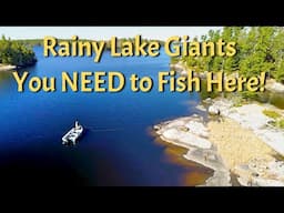 Giants of Rainy Lake