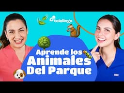 Animales, juegos y amigos en el parque | Descubre el PARQUE y sus ANIMALES! Learn Spanish Telelingo