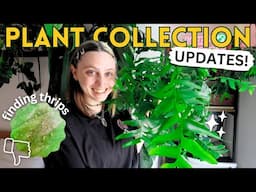 Huge Growth Updates & Unexpected Pests 🪴  Plant Collection Tour