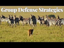 ANIMALS Use POWERFUL Tactics To Ward Off Predators
