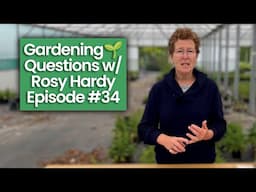Repeat Flower Roses? How to Get Rid of Spanish Bluebells? & Other Gardening Questions w/ Rosy Hardy