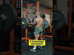 Why Combat Athletes NEED the Zercher Squat