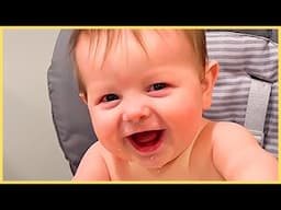 BEST Baby Laughing Video Compilation Ever!