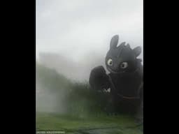 How *NOT* To train your Dragon! #httyd