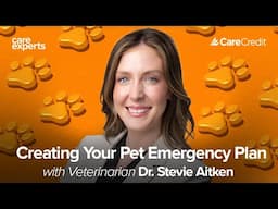 Top 5 Pet Emergency Kit Items with Dr. Stevie Aitken | Care Experts by CareCredit