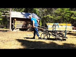 Hauling  Supplies, Wildlife Cam, Sawing a Plank From a Log-Martin's Old Off Grid Log Cabin#303