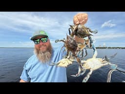 First Crab Trap Pull of the Season | Blue Crab Stuffed Flounder | Catch, Clean, Cook