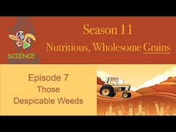Science In Your Shopping Cart | S11: Wholesome, Nutritious Grains || Ep 7: Those Despicable Weeds