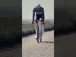 MVDP + Paris-Roubaix. MAGIC