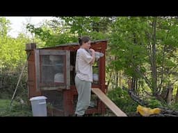 Settling in at the Off Grid Log Cabin | Installing Back Door